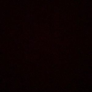 Meet your Posher, Isabel